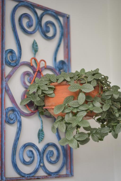 Casa Jardin Azul